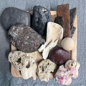 Decorative Natural Beach Rock and Driftwood Display — beach oddities